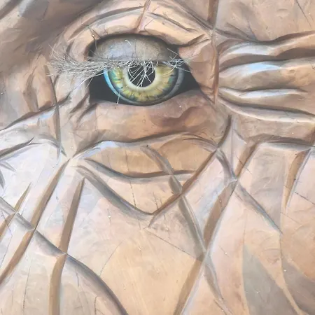 Cosy Jardin Des Plantes Avec Parking * Nantes