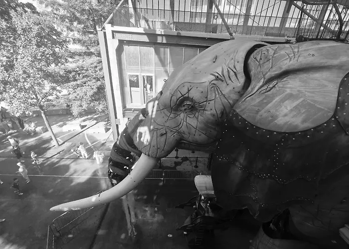 Cosy Jardin Des Plantes Avec Parking Daire *